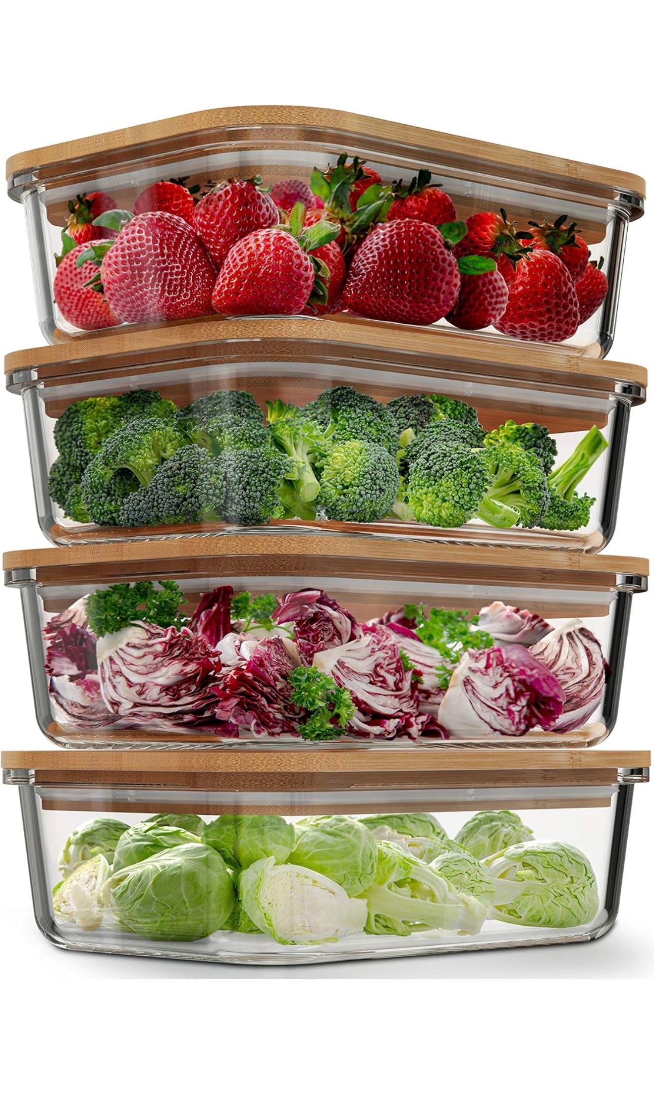 Large Food Storage Container (2Pack)