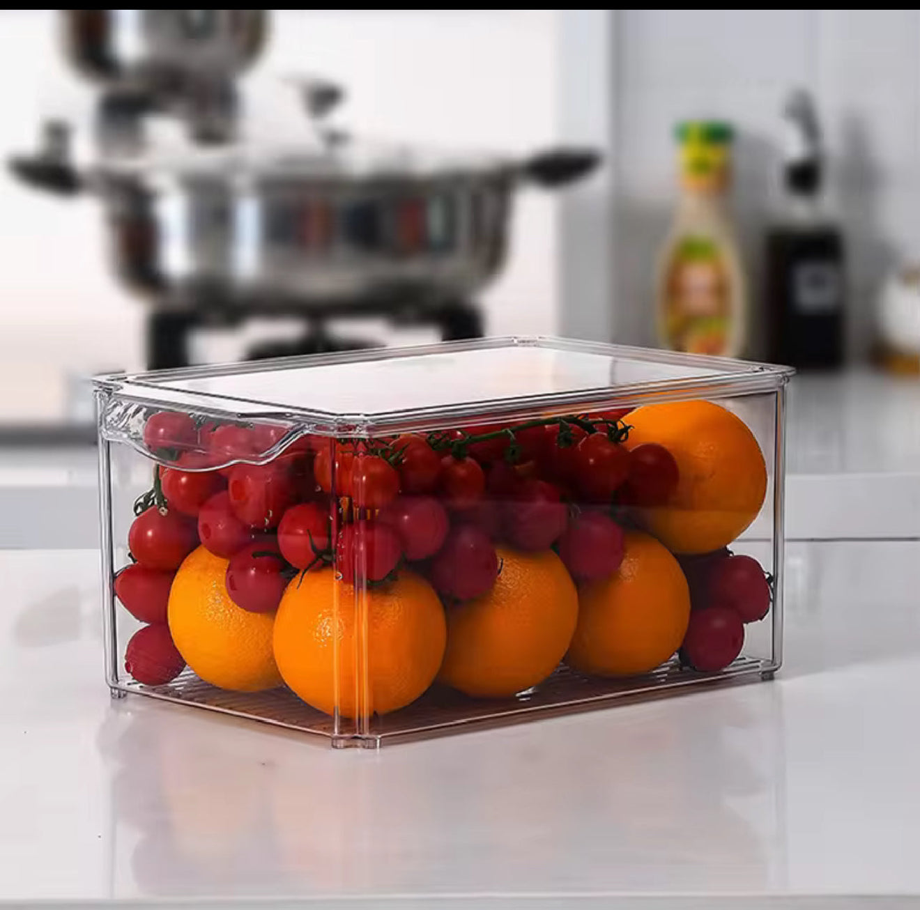 Storage Bin With  Lid  (  XL )